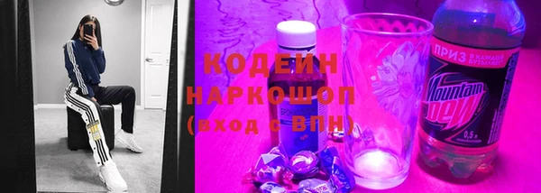 стаф Няндома