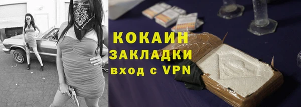 шишки Нягань