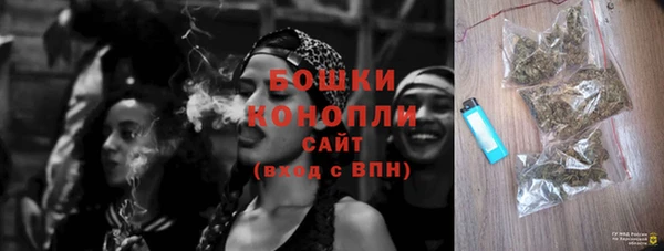 стаф Няндома