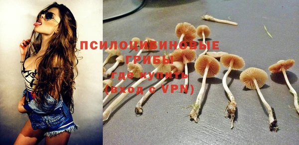 шишки Нягань