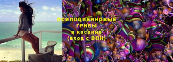 стаф Няндома