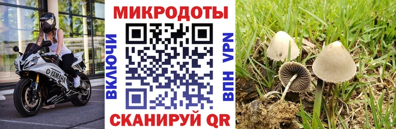 Псилоцибиновые грибы мицелий  где можно купить наркотик  Чапаевск 